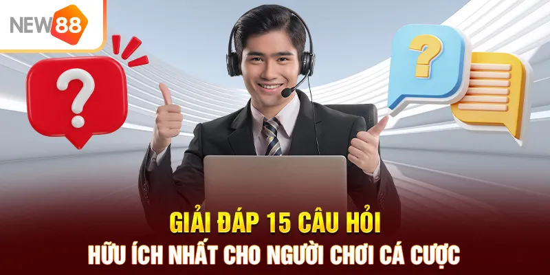 15 câu hỏi hữu ích