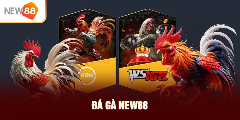 Đá gà NEW88